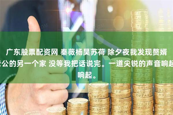 广东股票配资网 秦薇杨昊苏荷 除夕夜我发现赘婿老公的另一个家 没等我把话说完。一道尖锐的声音响起。