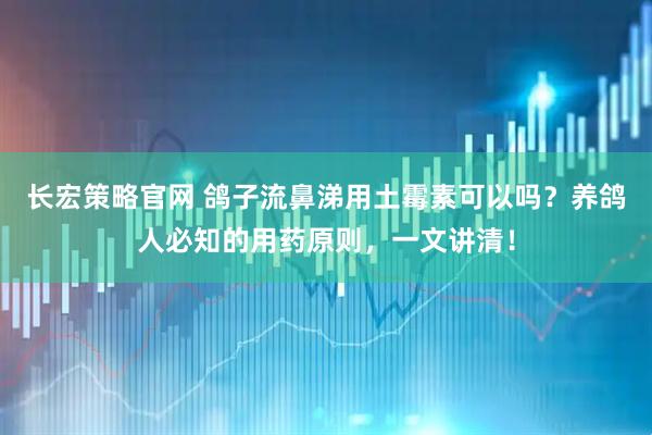 长宏策略官网 鸽子流鼻涕用土霉素可以吗？养鸽人必知的用药原则，一文讲清！