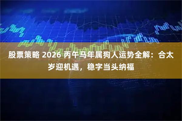 股票策略 2026 丙午马年属狗人运势全解：合太岁迎机遇，稳字当头纳福