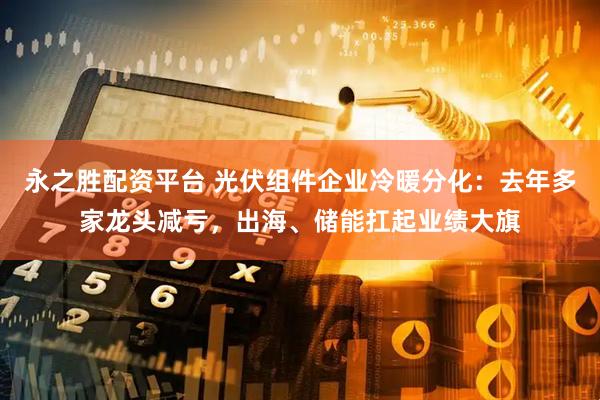 永之胜配资平台 光伏组件企业冷暖分化：去年多家龙头减亏，出海、储能扛起业绩大旗