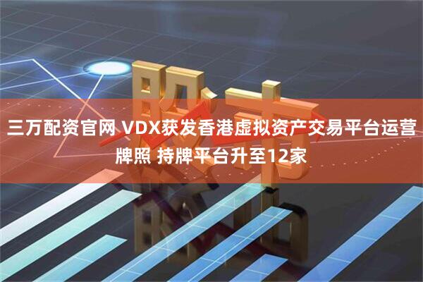 三万配资官网 VDX获发香港虚拟资产交易平台运营牌照 持牌平台升至12家